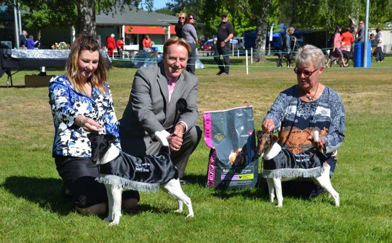 Cruz and Amber wearing black shiny tasselled dog coats at awards presentation